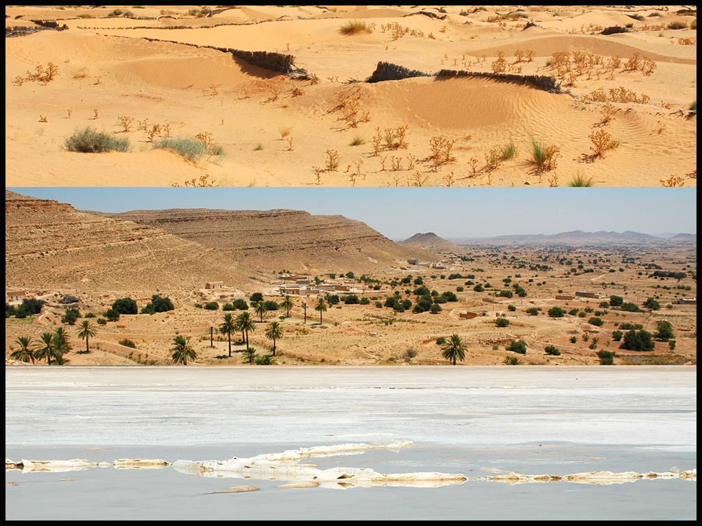 desert tunisie