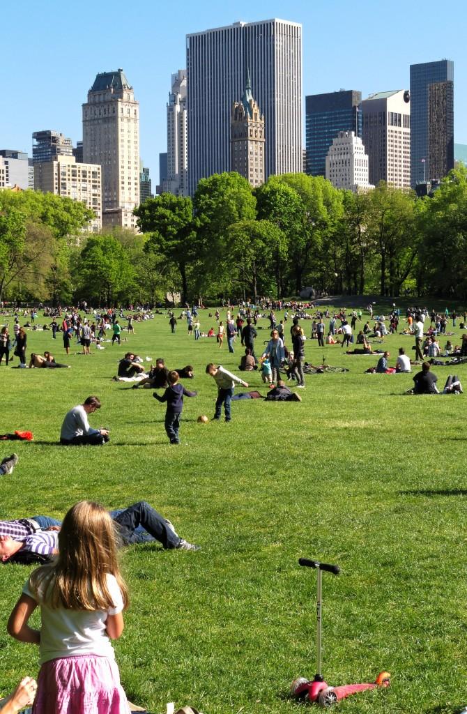 pelouse de central park à new york