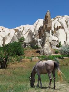 vallée des épées en cappadoce