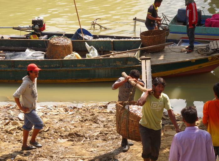 Pêcheurs à Battambang