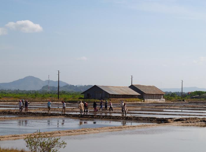 Marais salants à Kampot