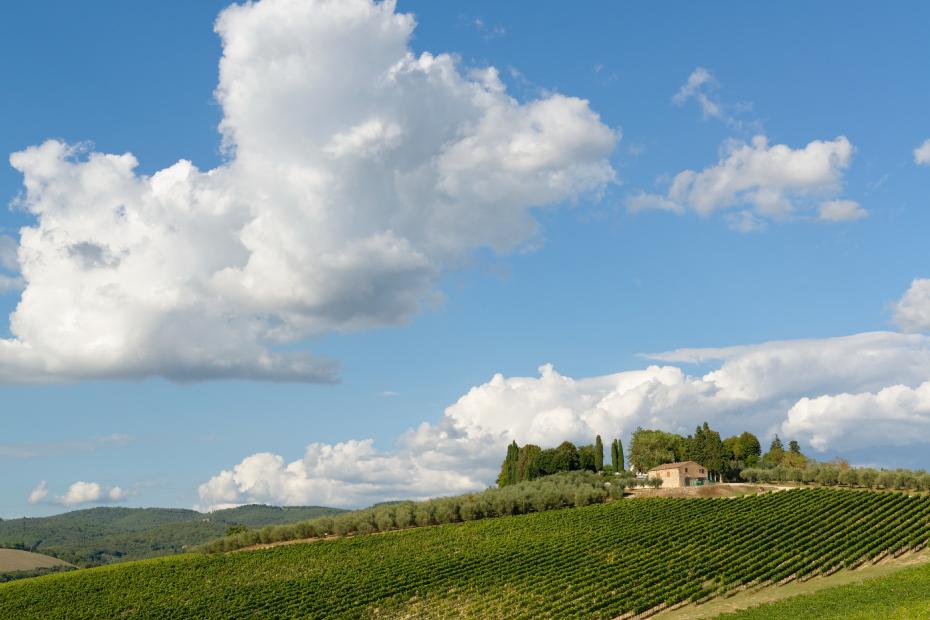 Route du Chianti