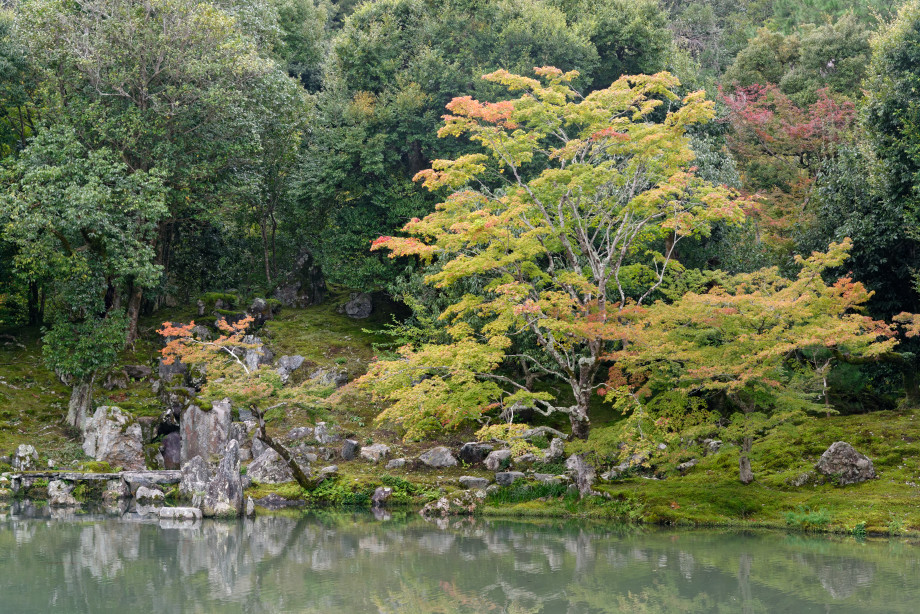 Étang du temple Tenryuji quartier arashiyama