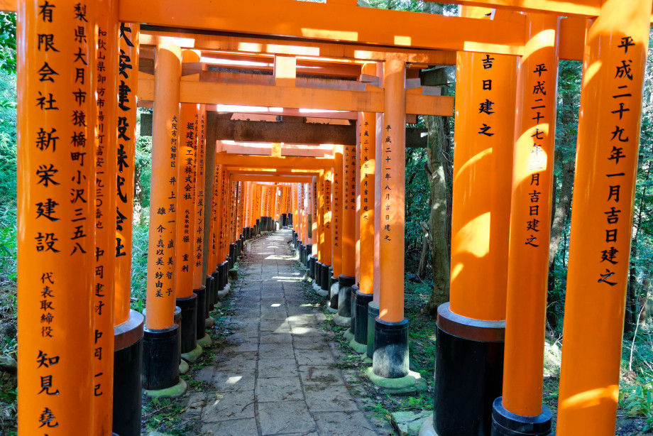 Torii à Fushimi Inari-taisha