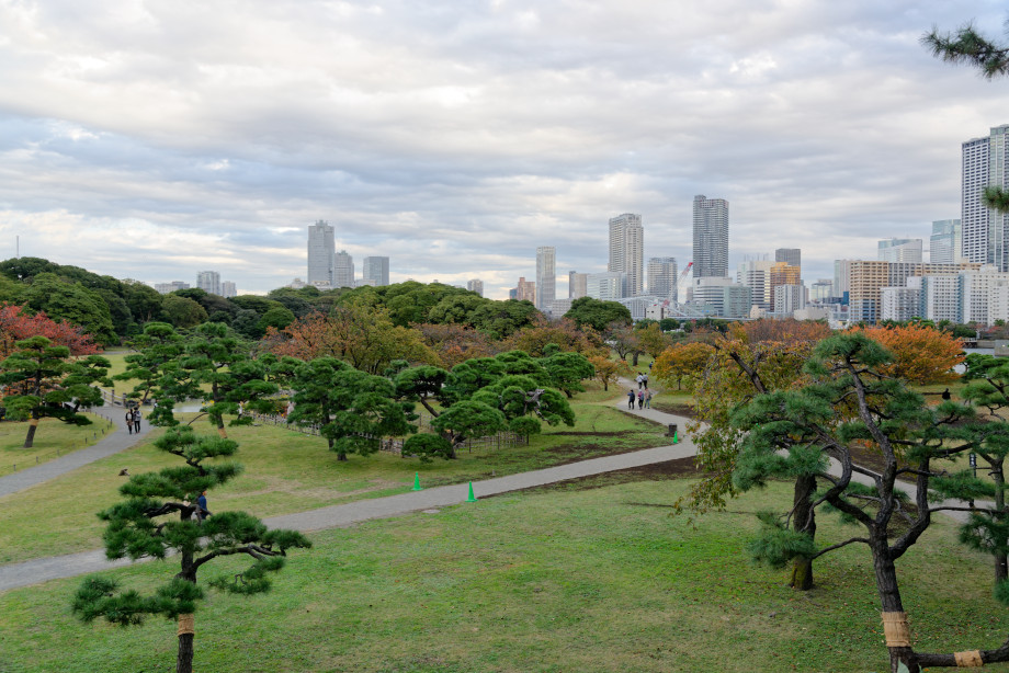 Jardin Hama-Rikyu à Tokyo