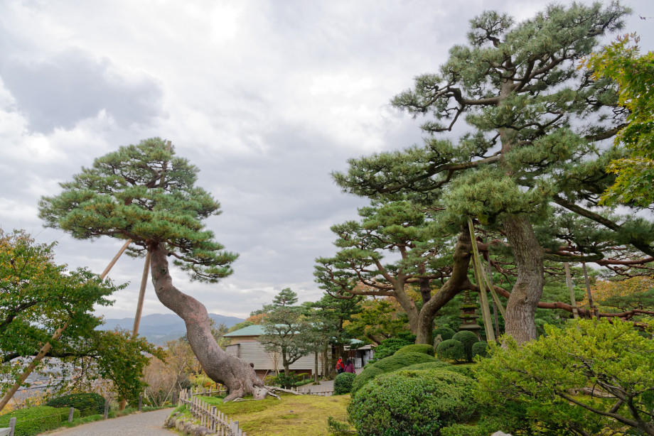 jardin Kenrokuen