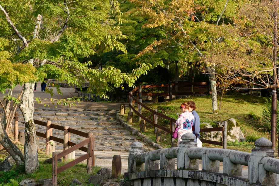 Jardin maruyama à kyoto