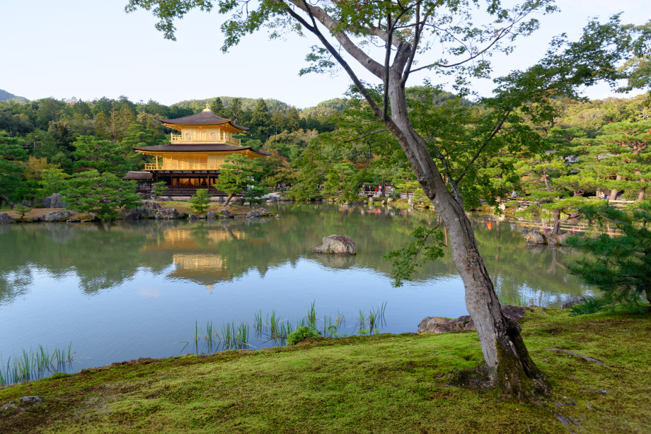 Le Temple kinkakuji