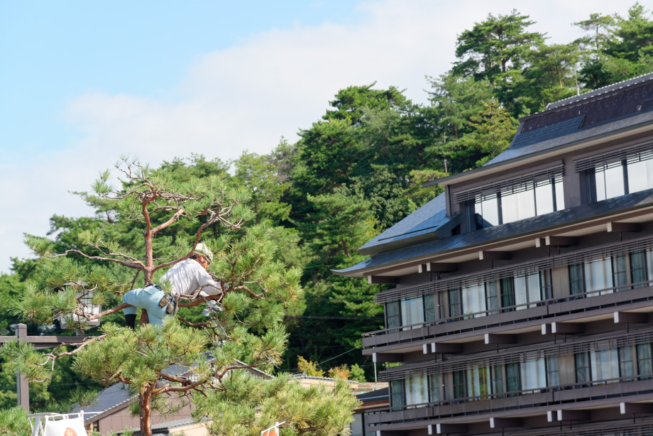 Jardinier de Miyajima