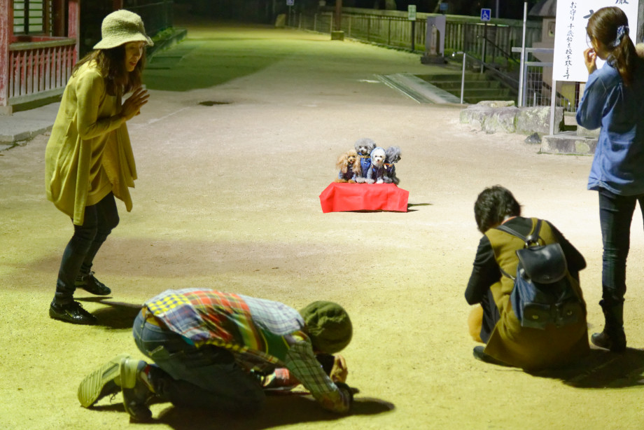 Photographies nocturne Miyajima