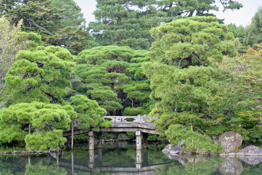 Etang du Palais impérial de Kyoto