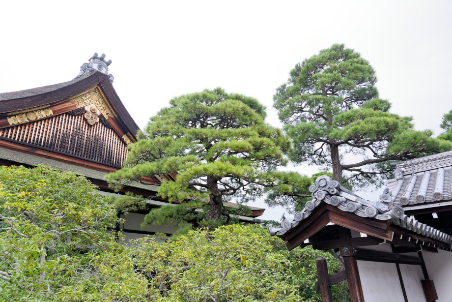 Toiture du Palais impérial de Kyoto