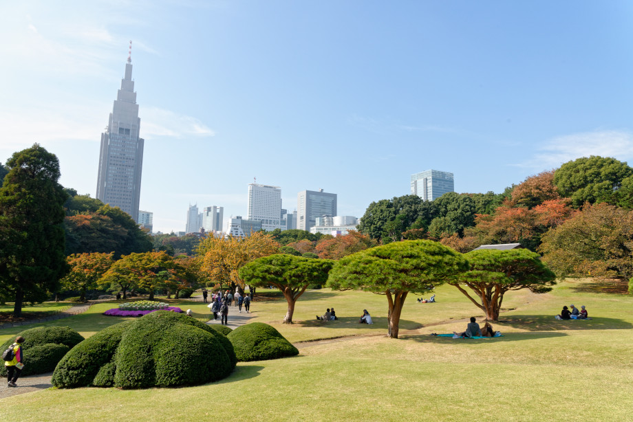 Shinjuku Gosen Park à Tokyo