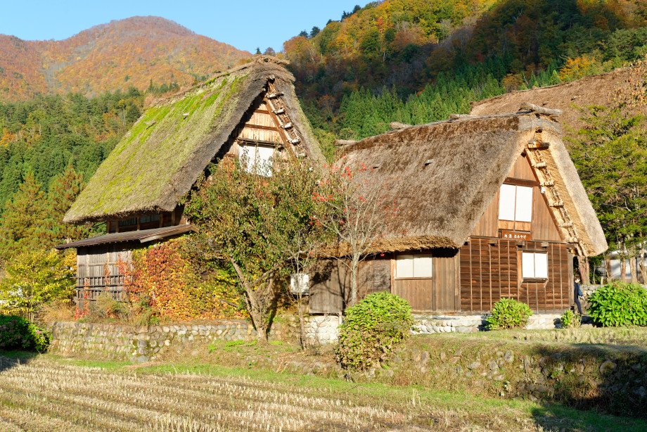 toits de chaumes à Shirakawago