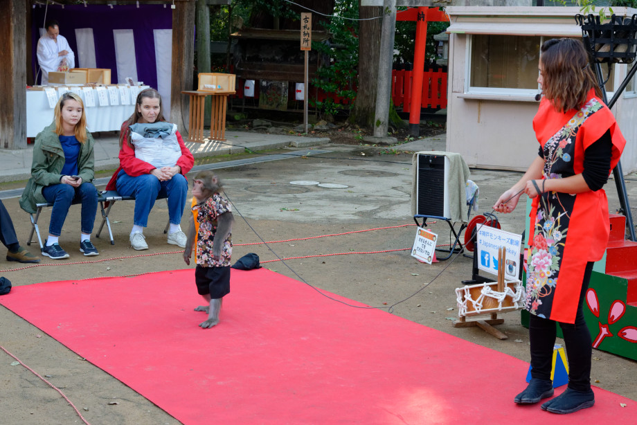 Spectacle de singe à Tenjin-san