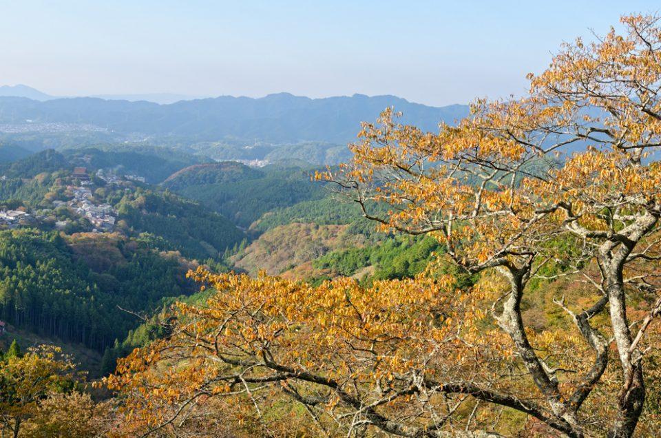 3 jours à Yoshino