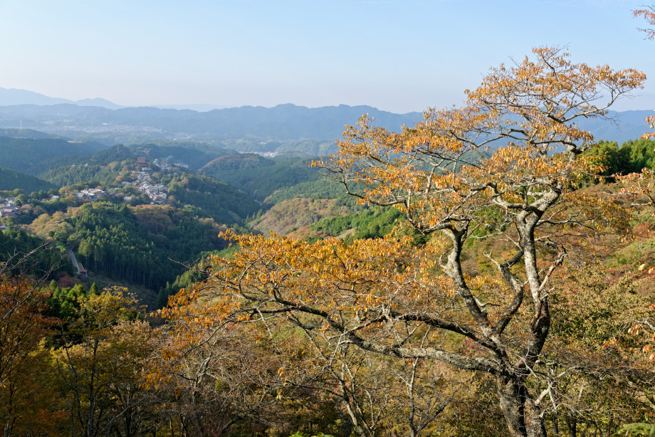 Panorama de la vallée